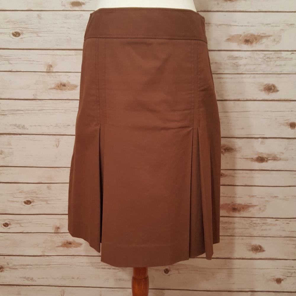 Brown Skirt